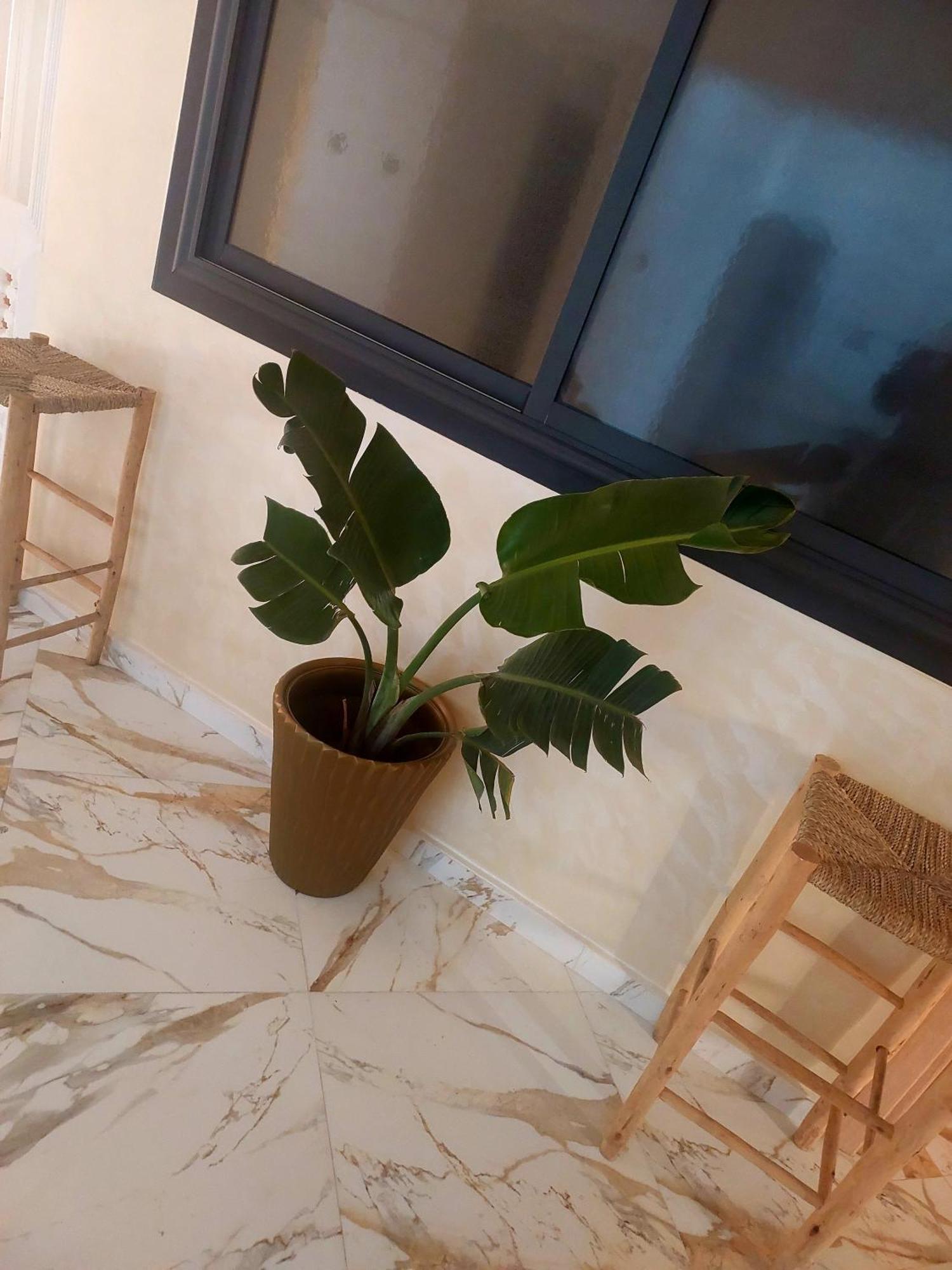 Mogador Appartements T6 Esauira Exterior foto